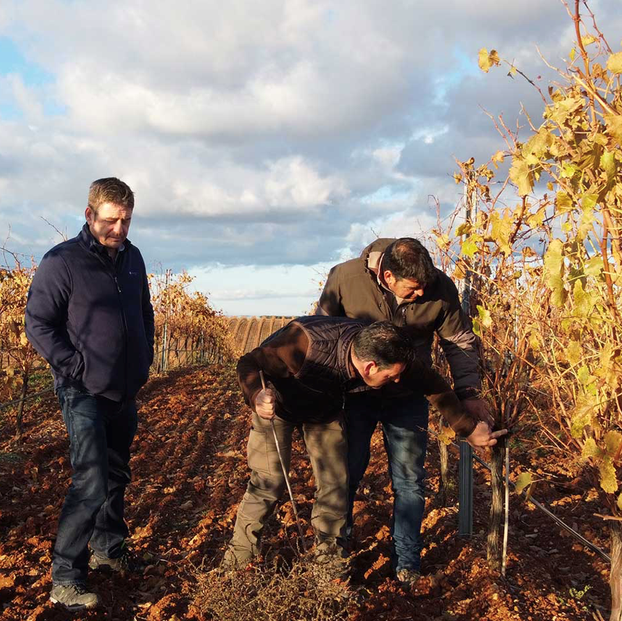 Bodegas La Granadilla