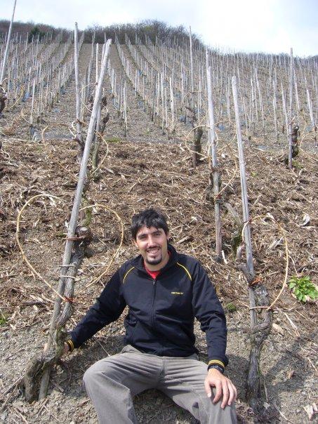 Bodegas Ramón de Ayala