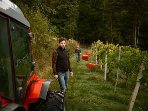 Weingut NeueHeimat